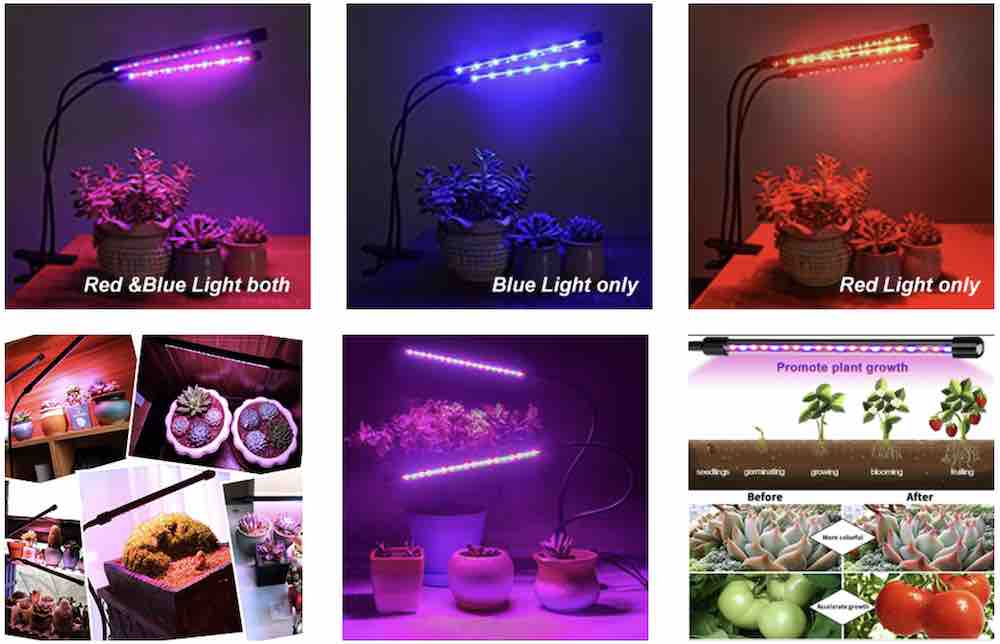 LED grow light strips over a tray of seedlings
