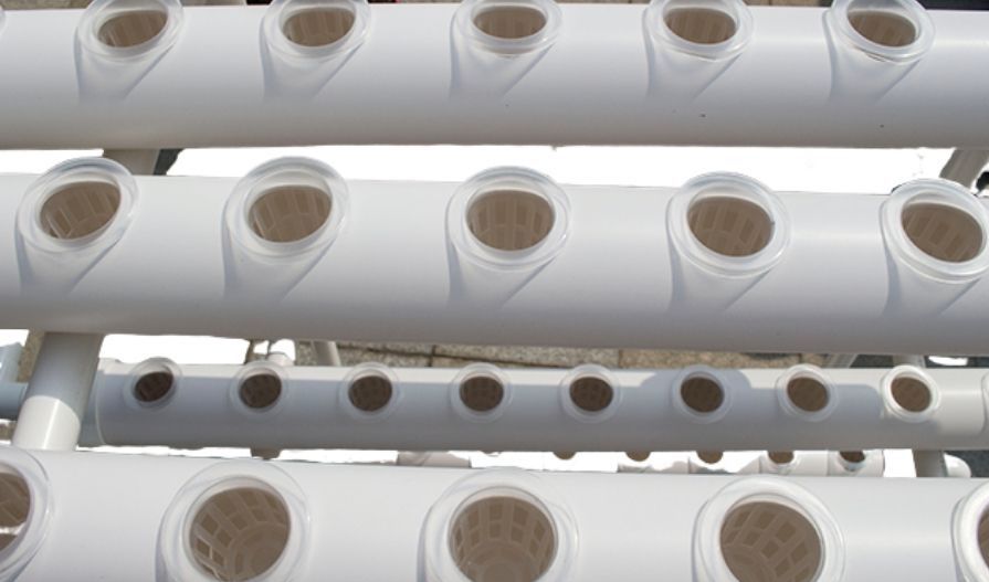 An NFT hydroponic channel planted with leafy greens